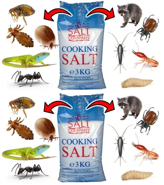 Birkaç saniye içinde böcekleri uzaklaştıracaksınız