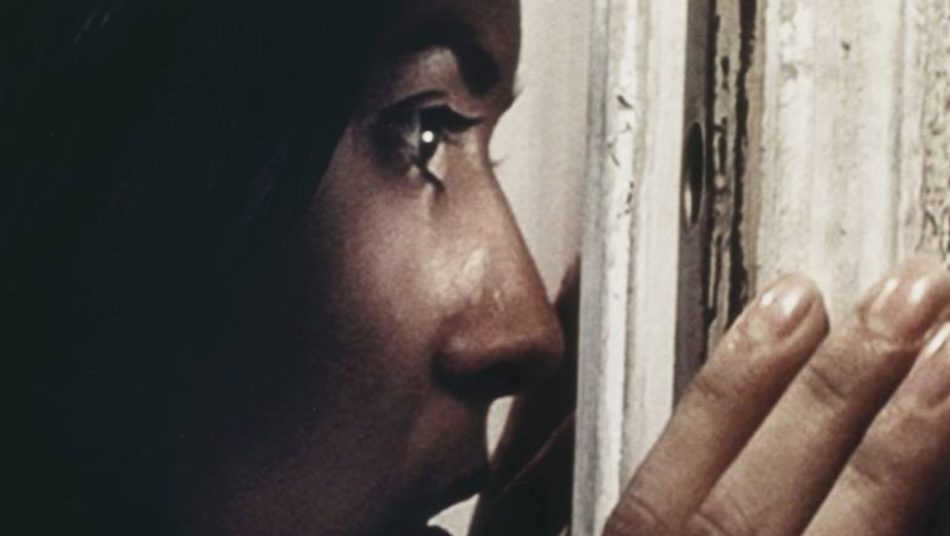 Kapıyı sevimli bir çift açmıştı