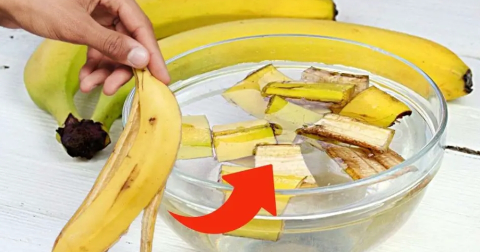 Muz kabuklarını atmak büyük bir israf