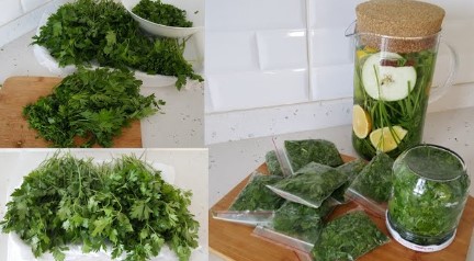 Kase Yöntemiyle Bir Ay Taze Maydanoz