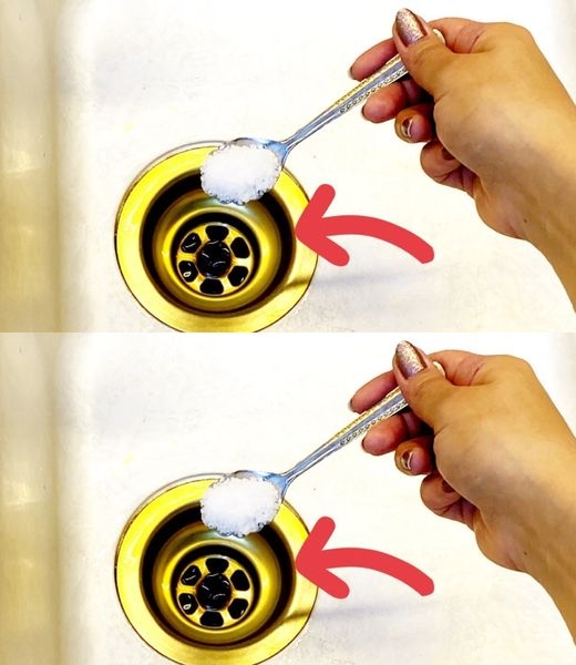 Bu yöntemle hamam böceklerini evinizden uzak tutun