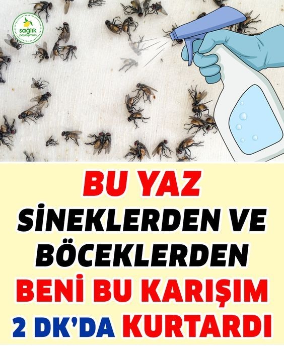 Sinek, Sivrisinek ve Hamam Böceğinden 2 Dakikada Kurtaran Sprey