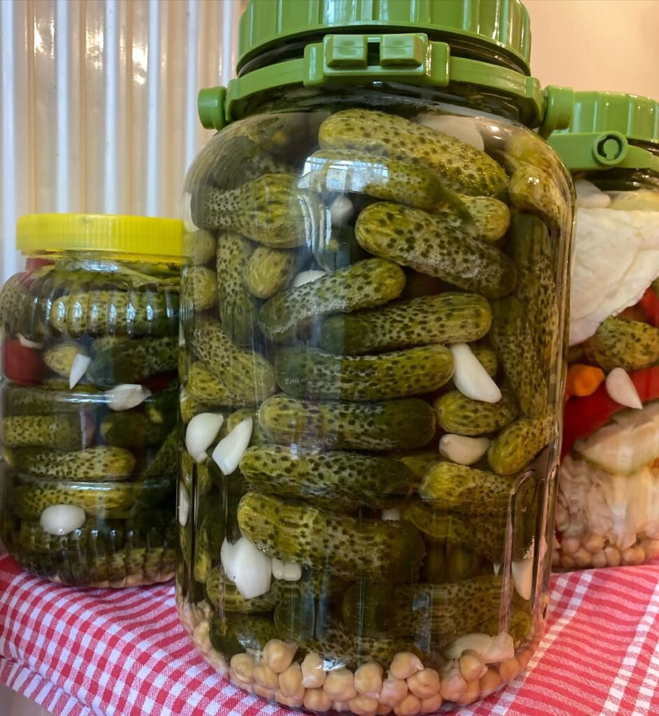 Soğuk Suyla Kurulan Turşu Tarifi