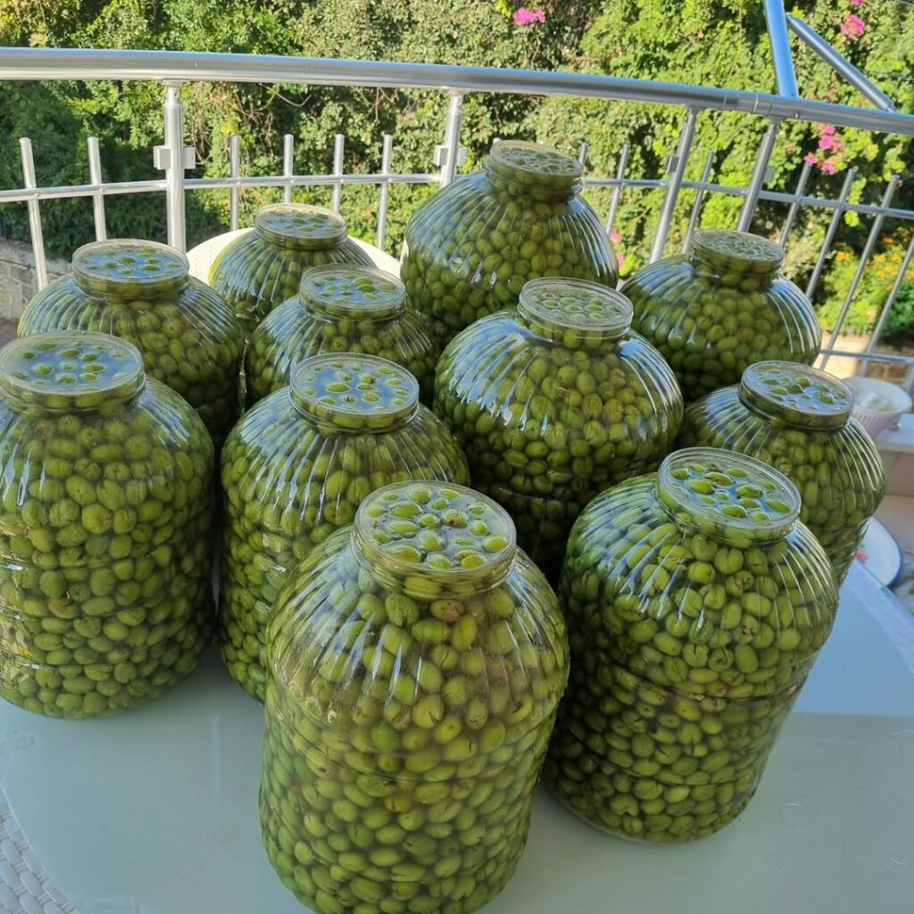 Asla Erime Olmayan Taş Kırma Yeşil Zeytin
