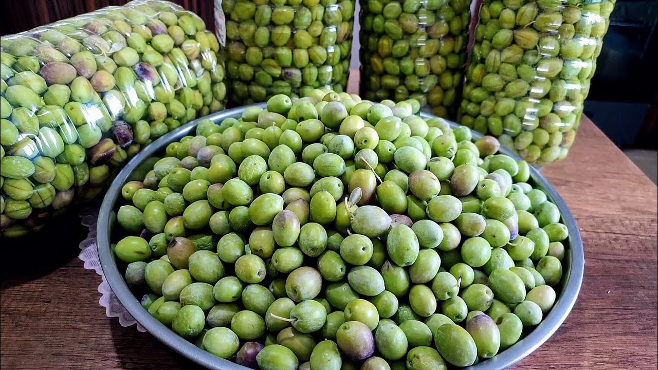 Asla Erimeyen Bozulmadan Yıllarca Saklanan Yeşil Zeytin Yapımı
