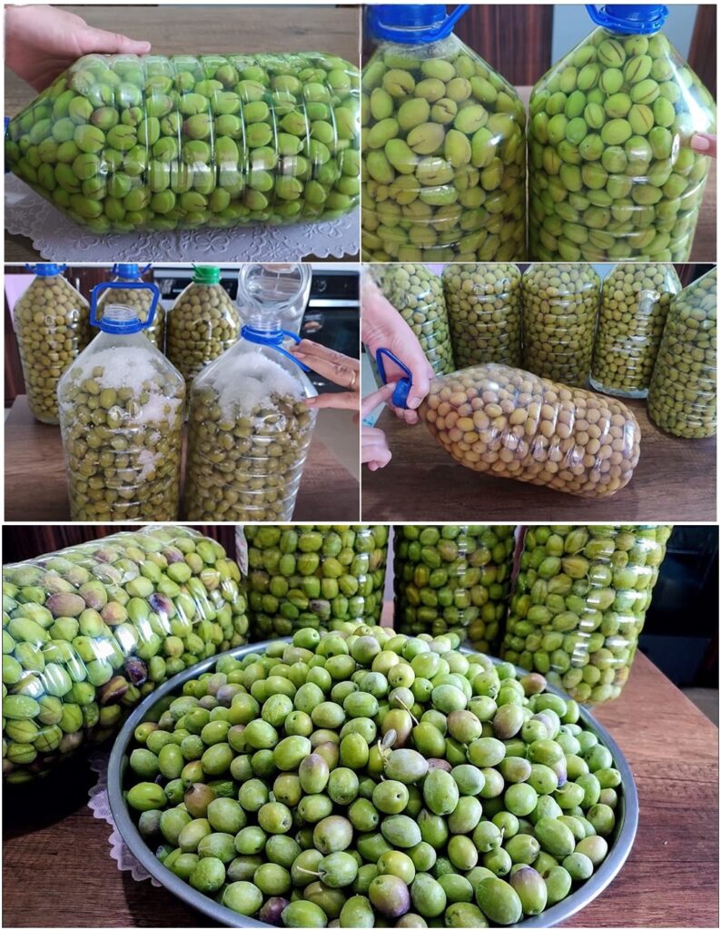 Asla Erimeyen Bozulmadan Yıllarca Saklanan Yeşil Zeytin Yapımı