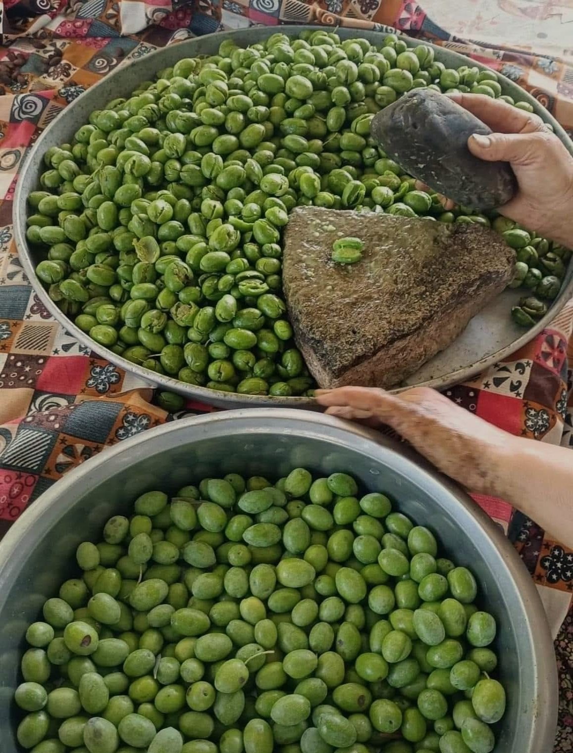 Asla Erime Olmayan Taş Kırma Yeşil Zeytin