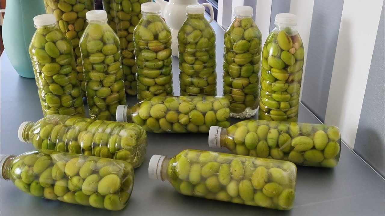 Tam Ölçülü Kırma Yeşil Zeytin Tarifi Ve Tatlandırma Aşamaları