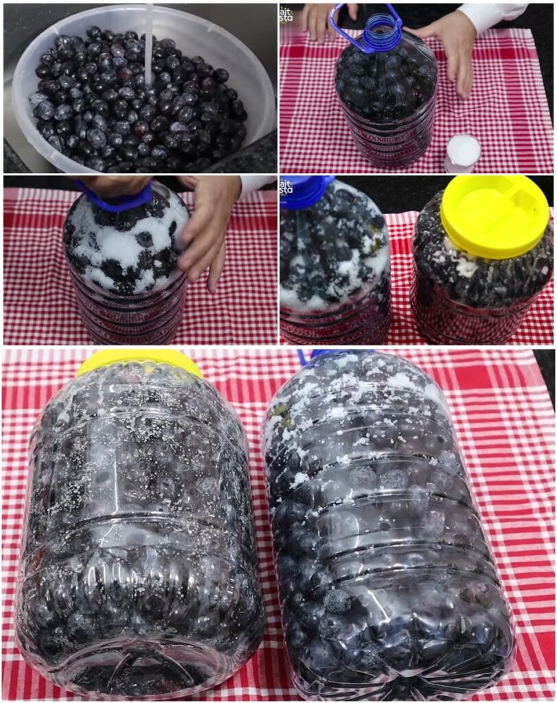 Ev Yapımı Kuru Sele Ve Salamura Zeytin Tarifi