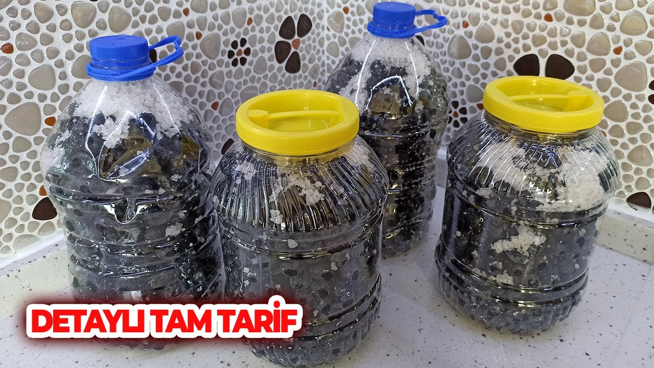 5 Litrelik Damacanada Siyah Zeytin Nasıl Kurulur ve Tatlandırılır