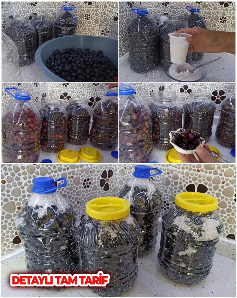 5 Litrelik Damacanada Siyah Zeytin Nasıl Kurulur ve Tatlandırılır