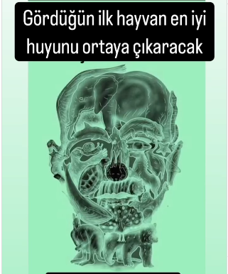Gördüğün ilk hayvan en iyi huyunu ortaya çıkaracak