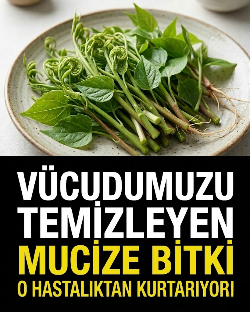 Mucizevi Bitki Vücudu Temizliyor