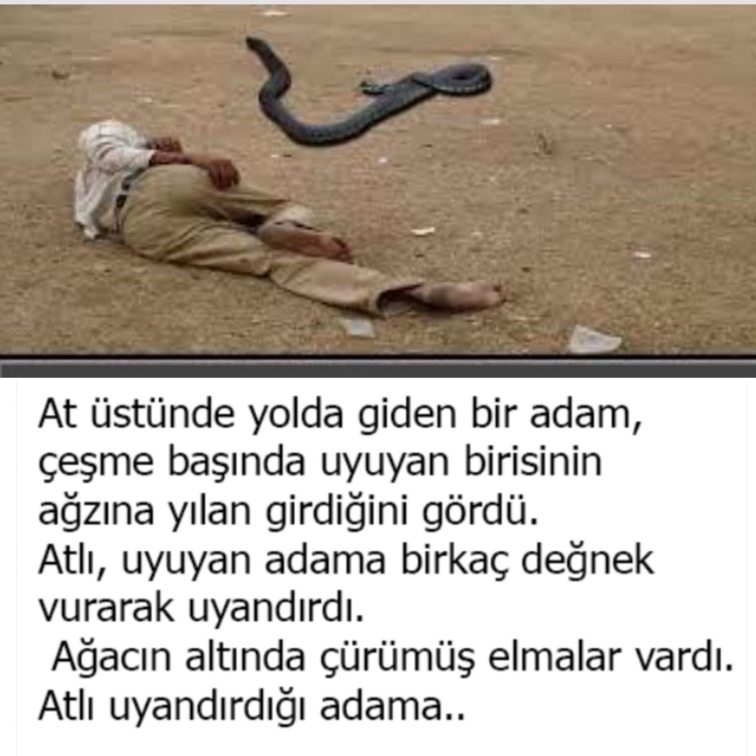 Agzına yılan kaçan adam
