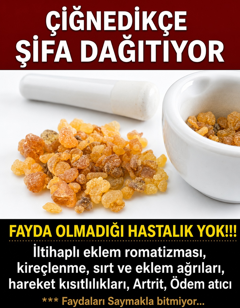 Binlerce Yıllık Geçmişe Sahip Olan Bitki
