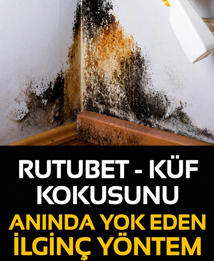 Rutubet kokusunu anında yok eden ilginç yöntemler
