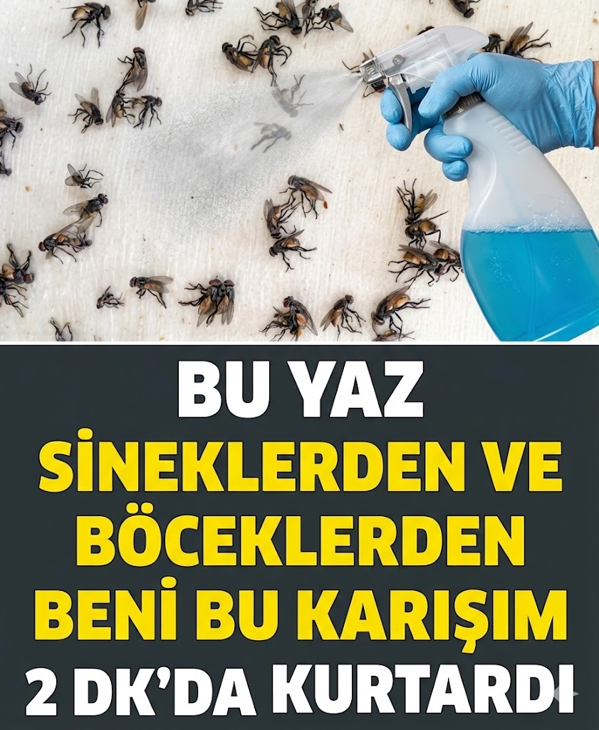 Sinek, Sivrisinek ve Hamam Böceğinden 2 Dakikada Kurtaran Sprey