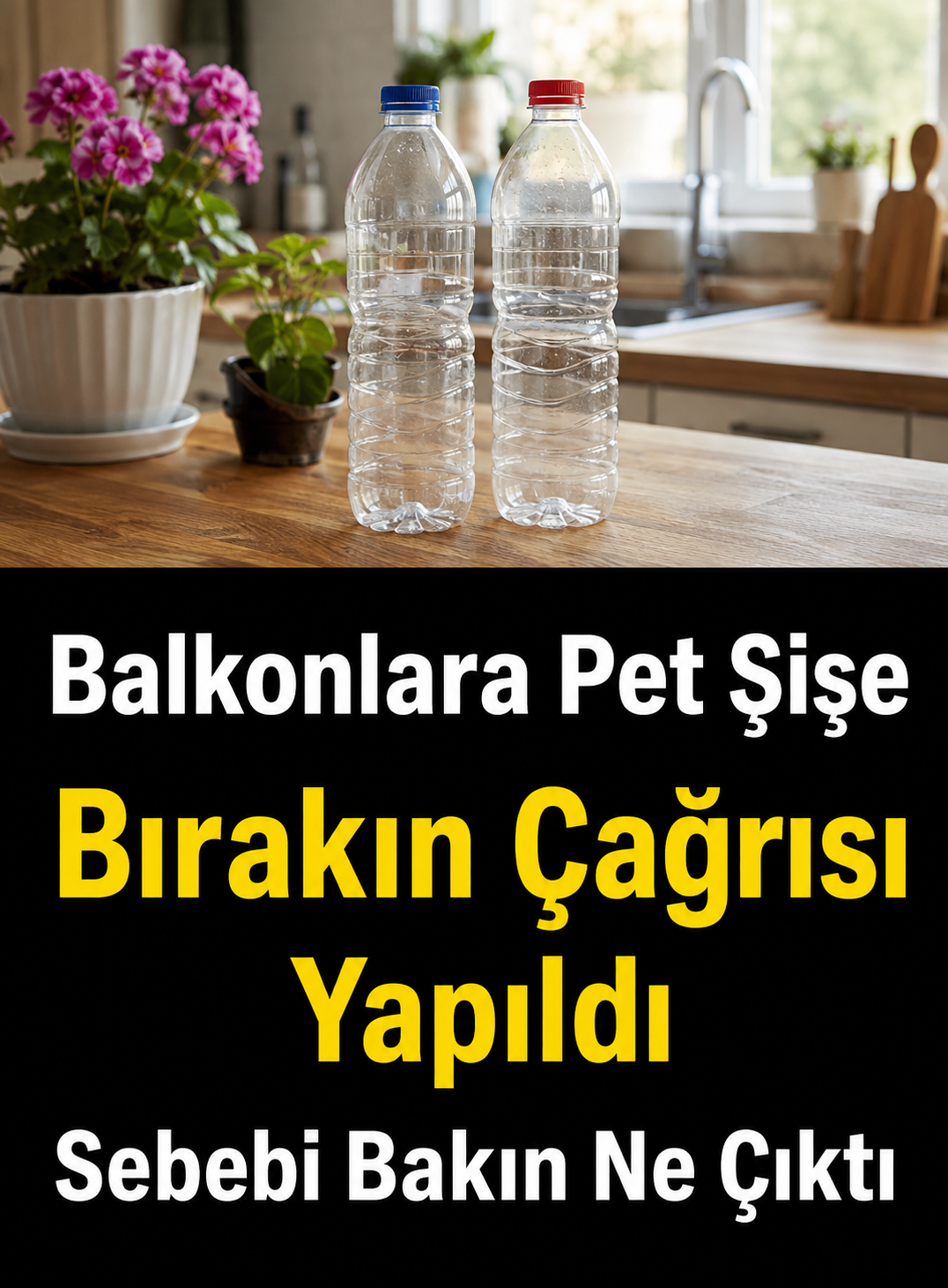 Balkonlara pet şişe bırakın çağrısı yapıldı!